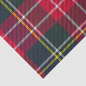 Kariertes Tartan Tissue Paper Seidenpapier (Ausschnitt)