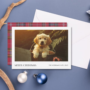 Kariertes Weihnachtsgeschenk Elegantes Puppy Dog F Feiertagskarte