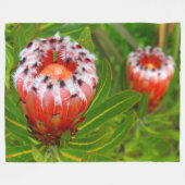 KARIKARI BLOOM FLEECEDECKE (Vorderseite (Horizontal))