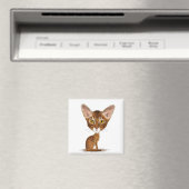 Karikatur Abyssinian Magnet (In Situ (Geschirrspüler))