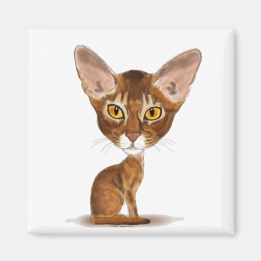 Karikatur Abyssinian Magnet (Vorne)