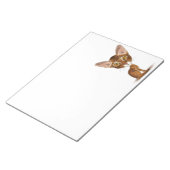Karikatur Abyssinian Notizblock (angewinkelt)