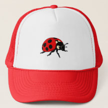 Karikatur Rote Marienkäfer Süße Insektenfigur