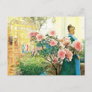 Karin mit rosa Blume und ihre Lounge Postkarte