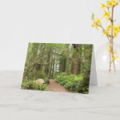 Karl Knapp Trail Karte (Gelbe Blume)