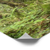 Karl Knapp Trail Poster (Ecke)