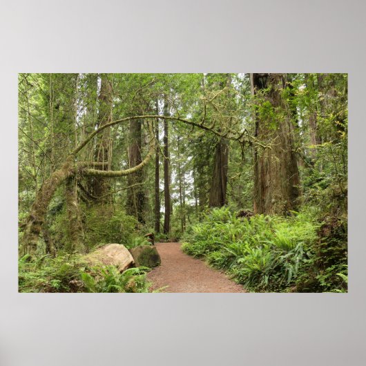 Karl Knapp Trail Poster (Vorne)
