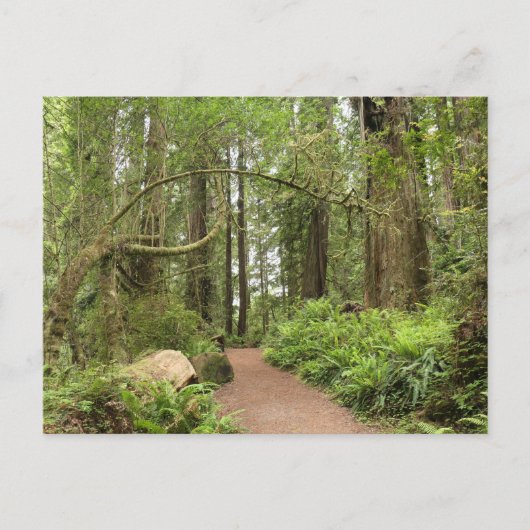 Karl Knapp Trail Postkarte (Vorderseite)