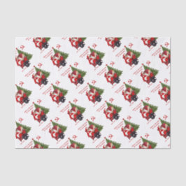 Karl Marx Santa Seidenpapier