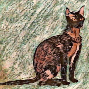 Karl The Cat 🐈 Kissen