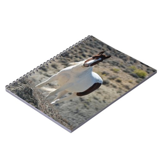 Karlitos des Sandwaschbeckens Notizblock (Linke Seite)