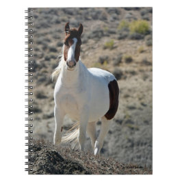 Karlitos des Sandwaschbeckens Notizblock