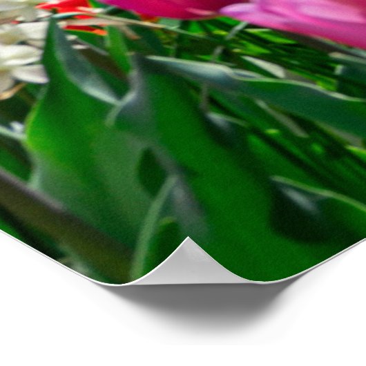 Karlskirche im Frühjahr in Wien, Österreich Poster (Ecke)