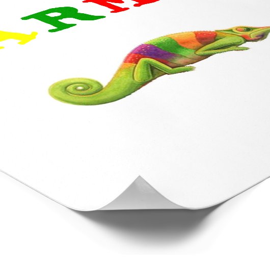 KARMA KAMELEON POSTER (Ecke)