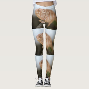 Karma Leggings
