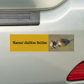 Karma lehnt Tyranne Autoaufkleber 7 ab (Auf Auto)