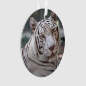 Karma - ornament (Vorderseite)