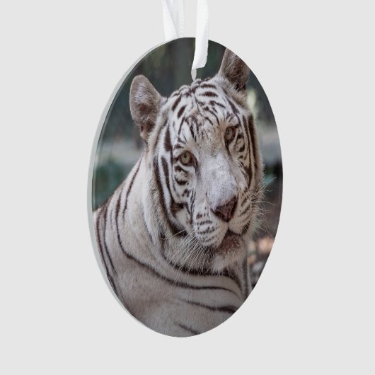 Karma - ornament (Vorderseite)