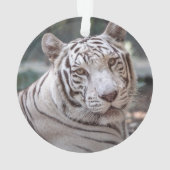 Karma - ornament (Rückseite)