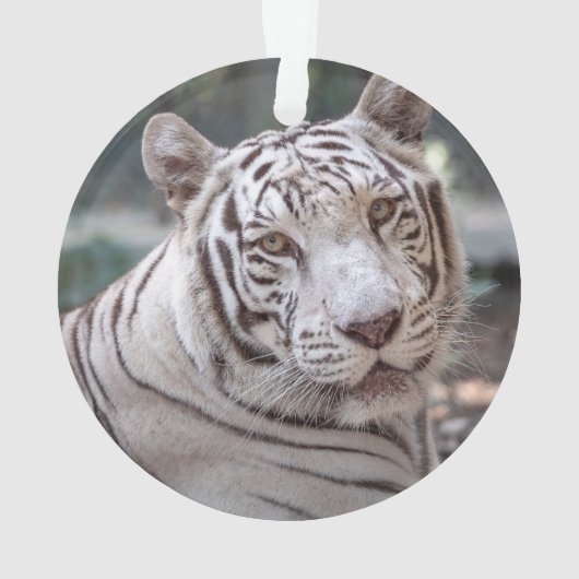 Karma - ornament (Rückseite)