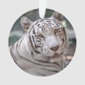 Karma - ornament (Vorderseite)