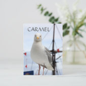 Karmel, Seagull und Boat Postcard Postkarte (Stehend Vorderseite)