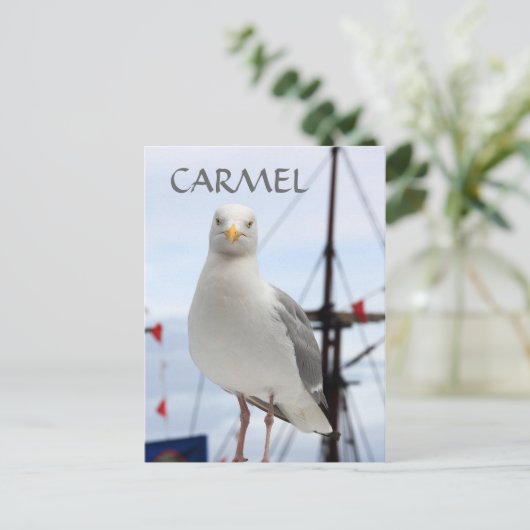 Karmel, Seagull und Boat Postcard Postkarte (Stehend Vorderseite)