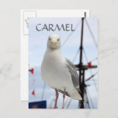 Karmel, Seagull und Boat Postcard Postkarte (Vorne/Hinten)