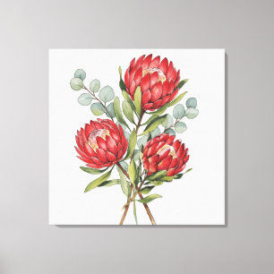 Karmesinrote Protea-Blumenstrauß-Wasserfarbe Leinwanddruck