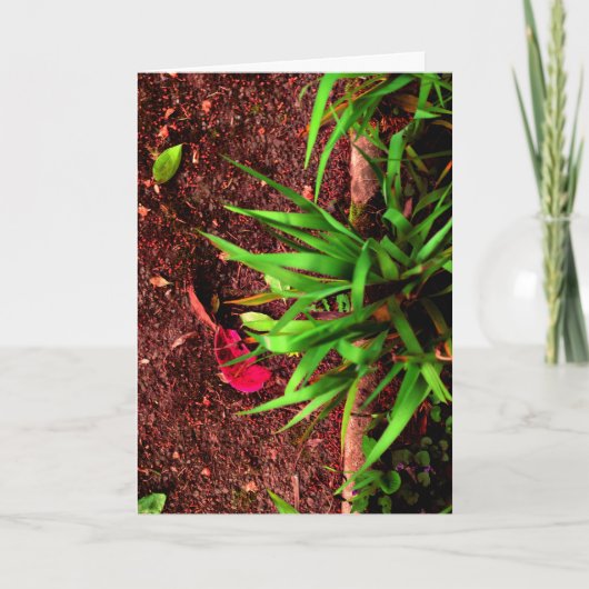Karmesinrotes Blatt auf dunkler Erde Karte (Vorderseite)
