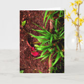 Karmesinrotes Blatt auf dunkler Erde Karte (Gelbe Blume)