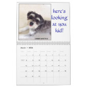 Karmin Winston III "Pawsome Kalender 2015 " (Mär 2026)