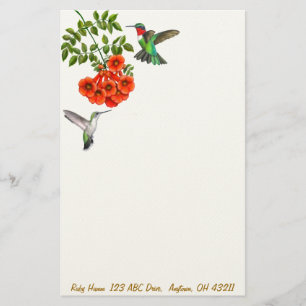 Karminrote Throated Kolibris in rotem Briefpapier