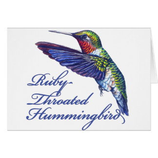 Karminroter Throated Kolibri vorbereitet