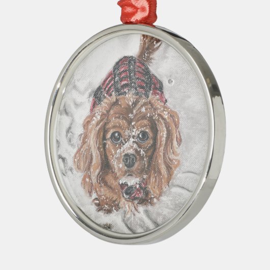 Karminroter unbekümmerter Königcharles Spaniel im Silbernes Ornament (Links)