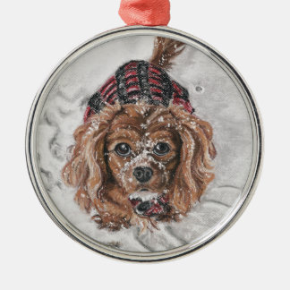 Karminroter unbekümmerter Königcharles Spaniel im Silbernes Ornament