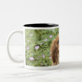 Karminroter unbekümmerter Königcharles Spaniel im Zweifarbige Tasse (Links)