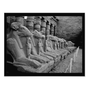 Karnak Temple Lions Fotodruck