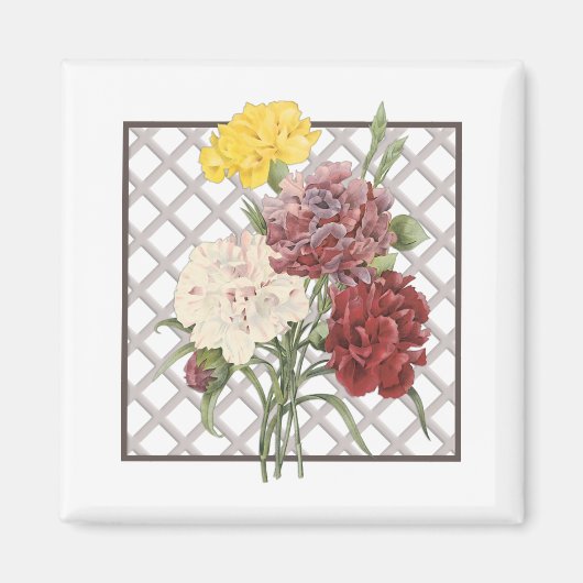 KARNATIONEN MAGNET (Vorne)