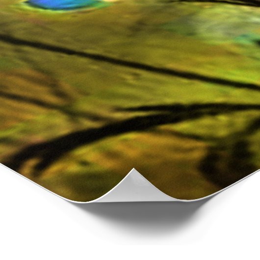 Karneval Fairy Poster (Ecke)