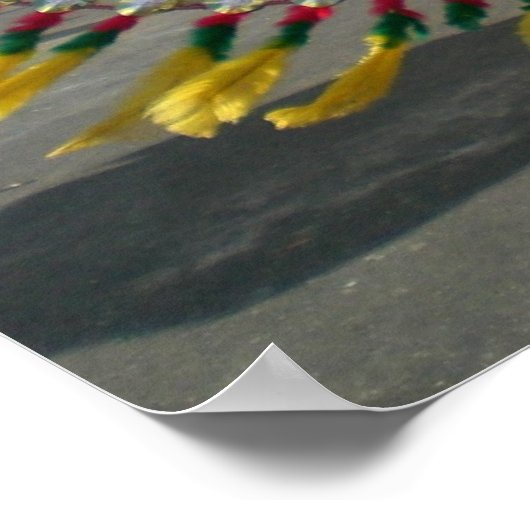 Karneval in Trinidad Poster (Ecke)