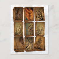 Karneval, Libellen, Bäume