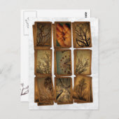 Karneval, Libellen, Bäume Postkarte (Vorne/Hinten)