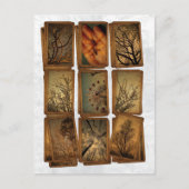 Karneval, Libellen, Bäume Postkarte (Vorderseite)