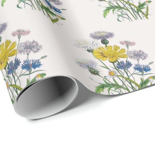 Karneval von Blume Geschenkpapier (Rolleneckpunkt)