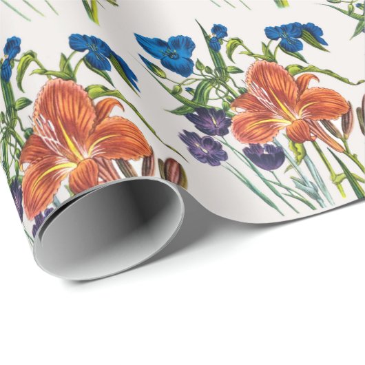 Karneval von Blume Geschenkpapier (Rolleneckpunkt)