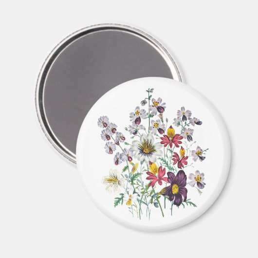 Karneval von Blume Magnet (Vorderseite/Rückseite)