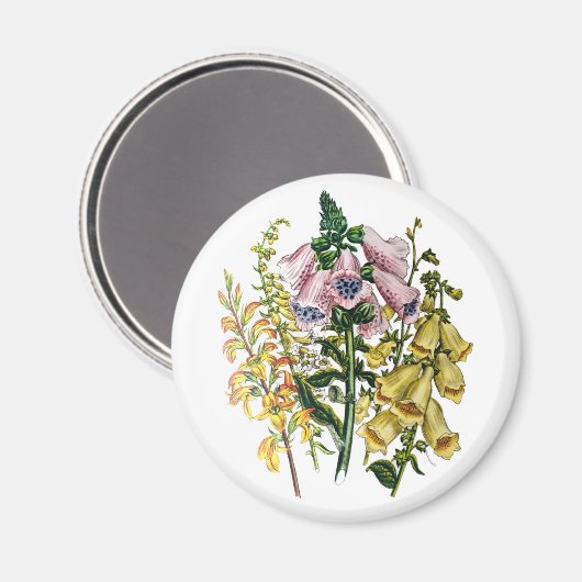 Karneval von Blume Magnet (Vorderseite/Rückseite)