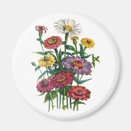 Karneval von Blume Magnet