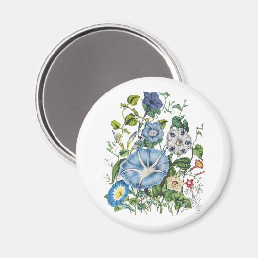 Karneval von Blume Magnet (Vorderseite/Rückseite)